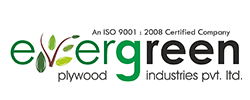 MR Grade Plywood Manufacturer in Yamunanagar
